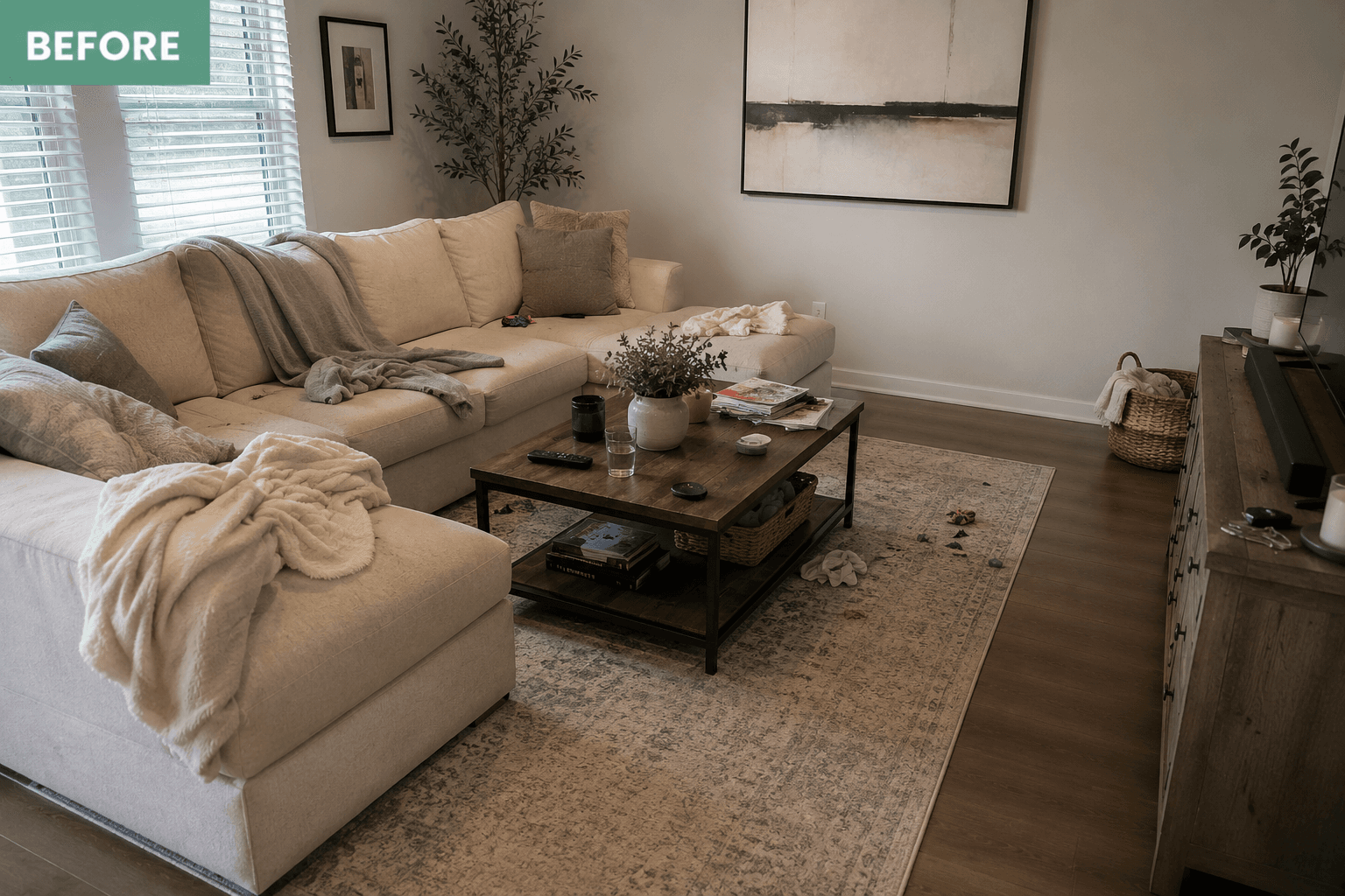 Before Living Room cleaning